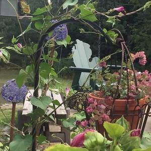 Meet your Posher, Susan